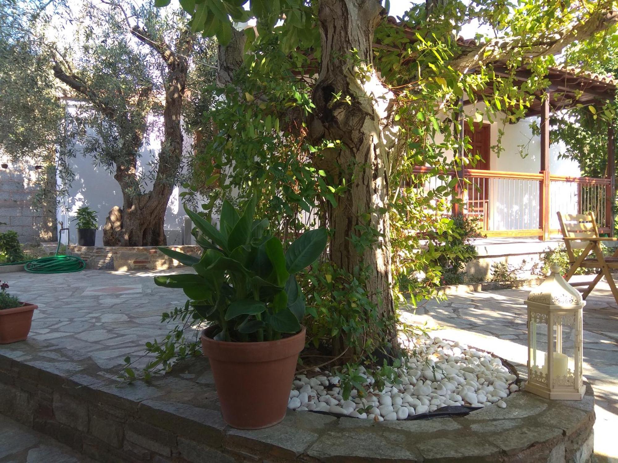 Villa Ble Skopelos Dış mekan fotoğraf