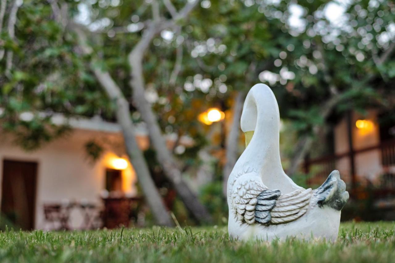 Villa Ble Skopelos Dış mekan fotoğraf